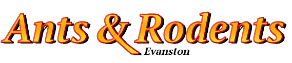 Evanston Ant Exterminator & Rodent Control Company Logo